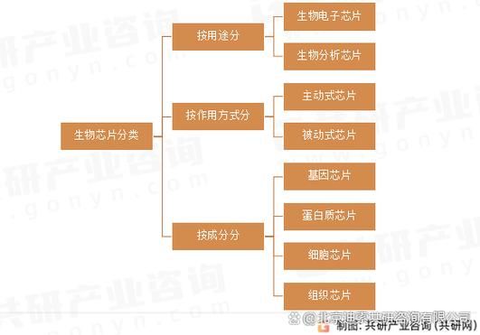 生物芯片未来应用_生物芯片行业前景如何
