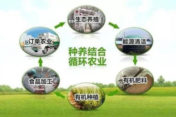 生态农业的前景怎么样_生态农业如何盈利