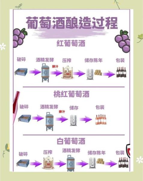 葡萄酒市场未来五年趋势_如何抓住新机遇