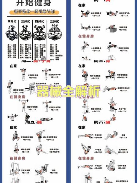 健身初学者如何制定训练计划_健身饮食怎么搭配