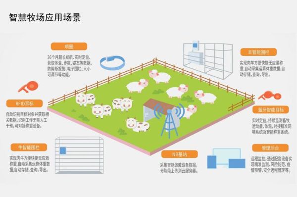 畜牧业互联网应用有哪些_如何落地智慧牧场