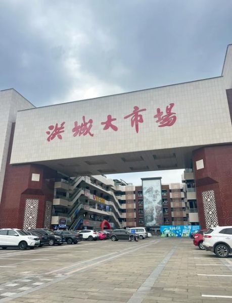 新洪城前景怎么样_新洪城值得投资吗