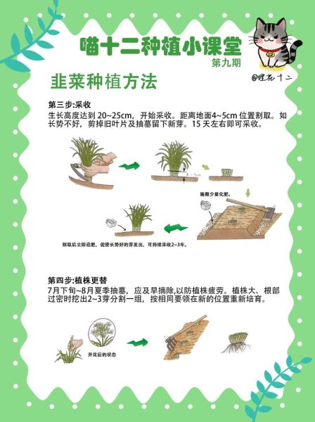 种植业前景怎么样_如何提高种植业收益