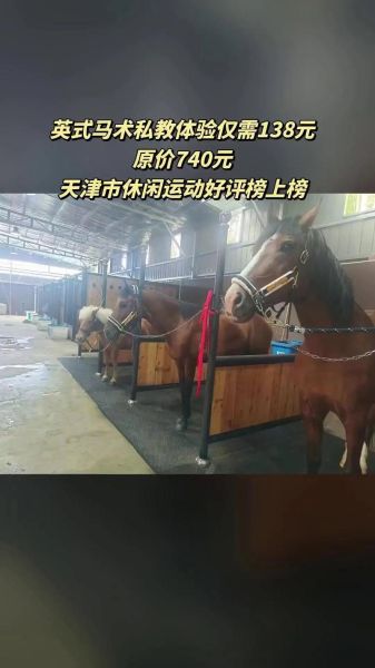 马术俱乐部加盟多少钱_马术培训费用一般多少