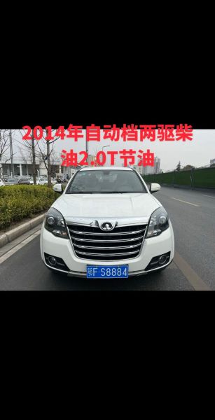 柴油未来前景怎么样_柴油会被新能源取代吗