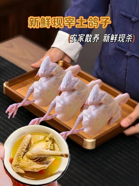 鸽子养殖赚钱吗_2024鸽子市场前景如何