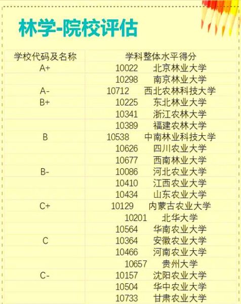林业专业就业前景怎么样_林业毕业后能干什么