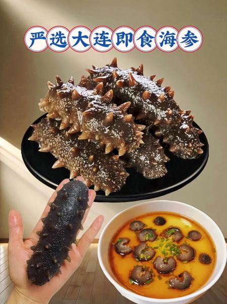 海参行业前景怎么样_海参加盟赚钱吗