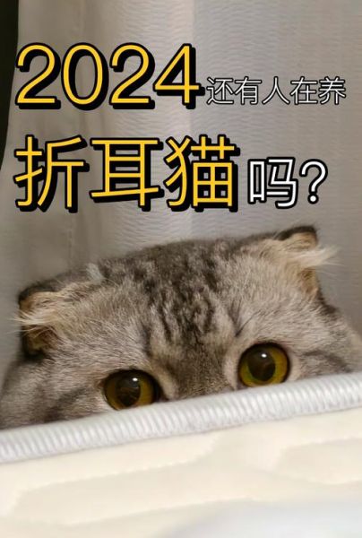 猫市场前景怎么样_2024年还能入局吗