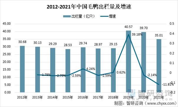 肉鸭养殖赚钱吗_2024年肉鸭市场前景分析