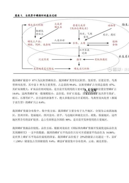 磷化工行业前景如何_磷化工行业现状分析